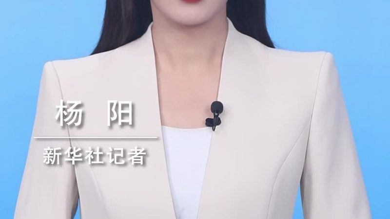申报材料反复退回，问题究竟出在哪